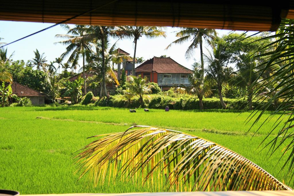 A Pousada The Happy Mango Tree Ubud Exterior foto